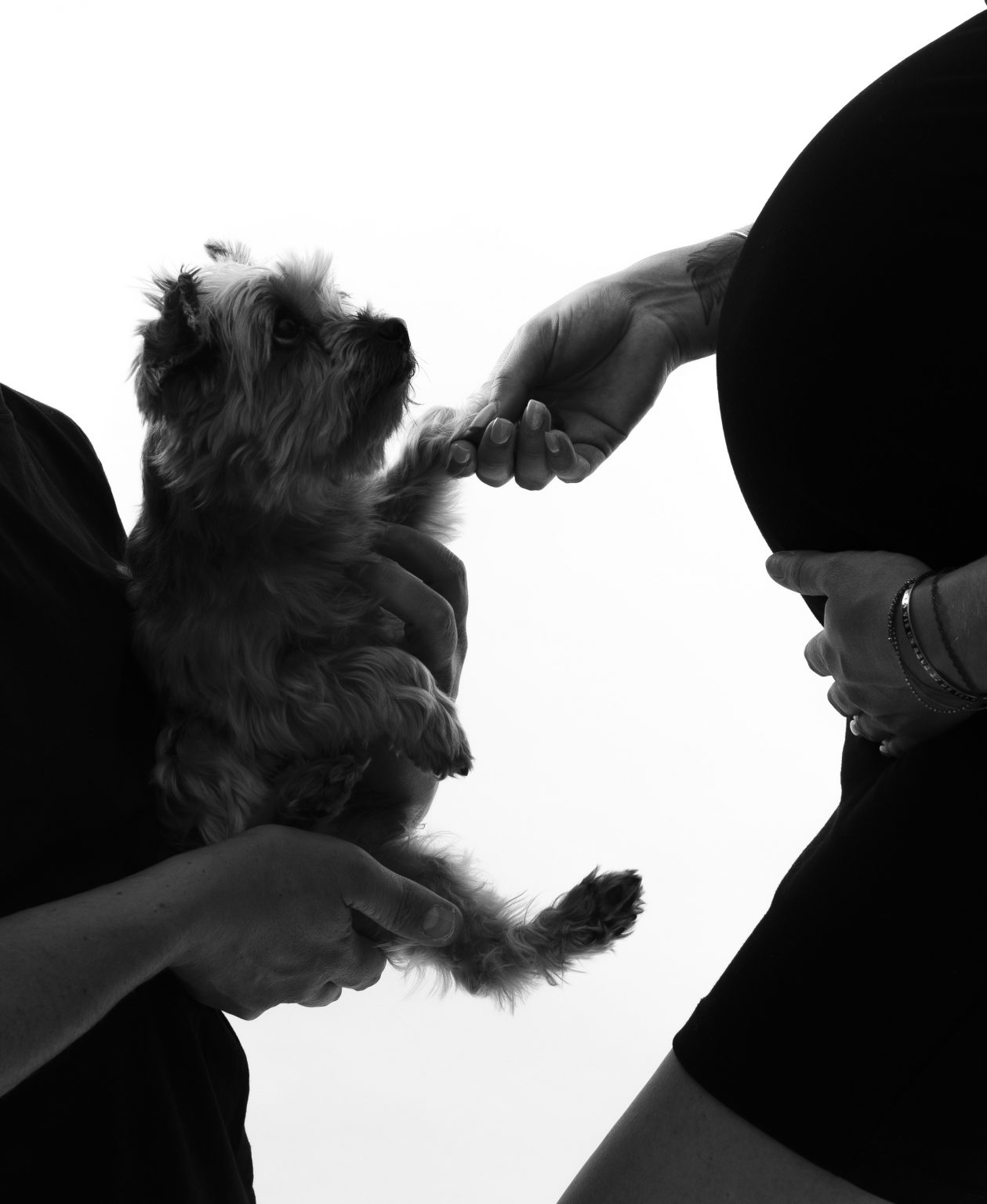 PHOTOGRAPHE GROSSESSE AIX EN PROVENCE MARSEILLE